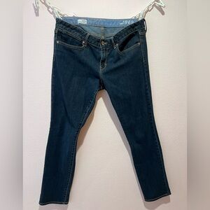 Gap 1969 Always Skinny Size 31/12a Blue Jeans